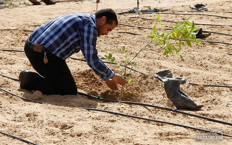 صور: في ذكرى النكبة