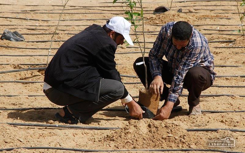 صور: في ذكرى النكبة