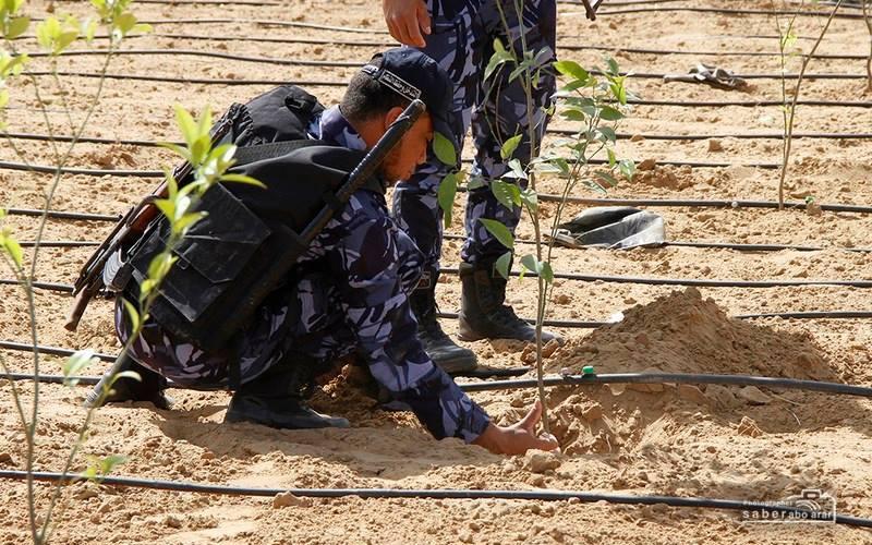صور: في ذكرى النكبة
