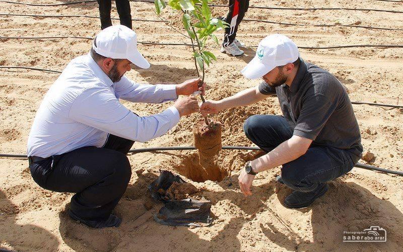 صور: في ذكرى النكبة