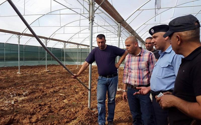 صور: اكتشاف مزرعة مخدرات في جنين