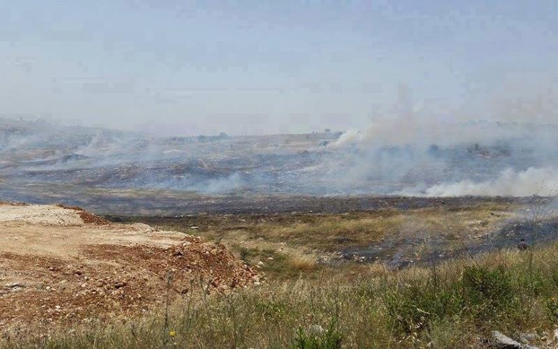 بالصور: الحرائق تلتهم 4000 دونماً بالأغوار