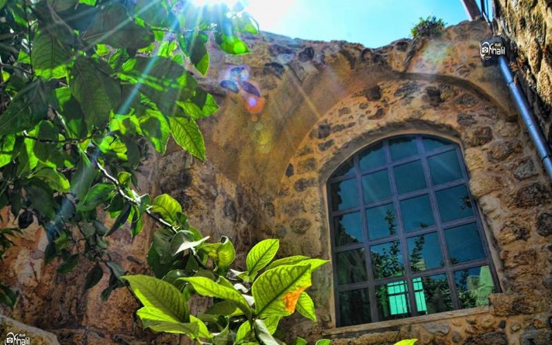 صور: قرية سبسطية في نابلس