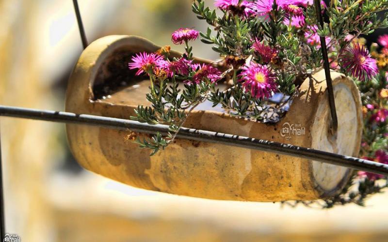 صور: قرية سبسطية في نابلس