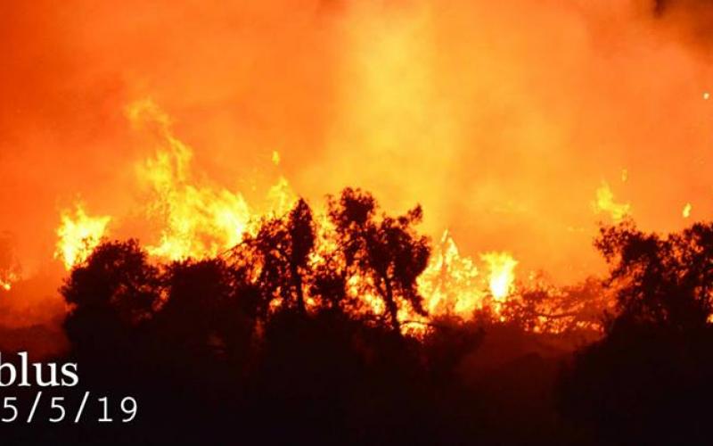 صور: حرائق ضخمة التهمت أحراشا بنابلس‎