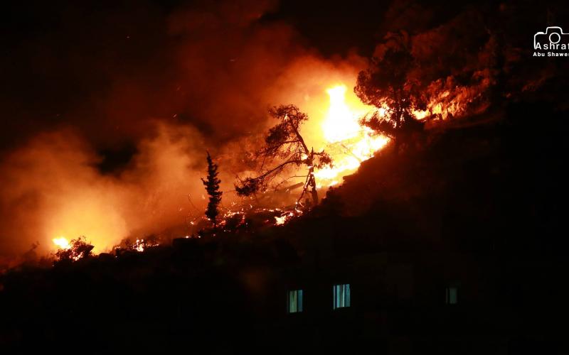 صور: حرائق ضخمة التهمت أحراشا بنابلس‎