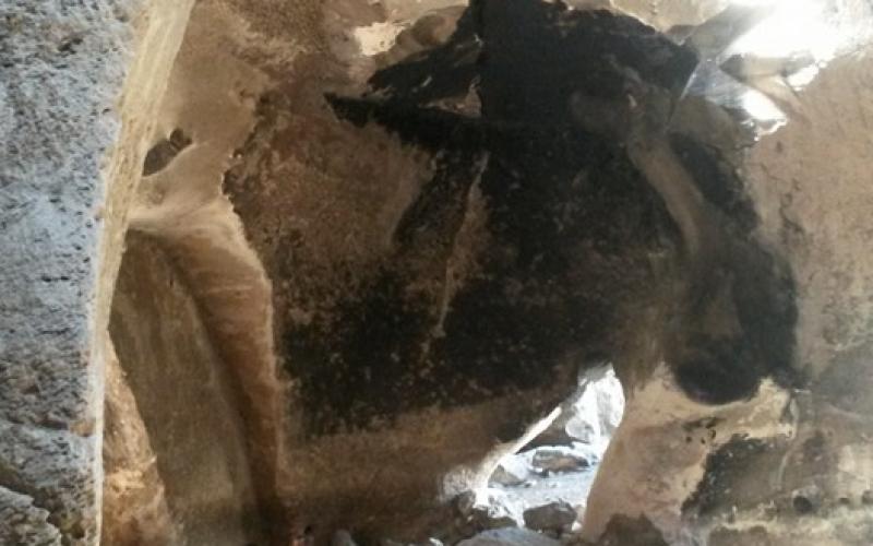 صور : كهوف أثرية في الخليل