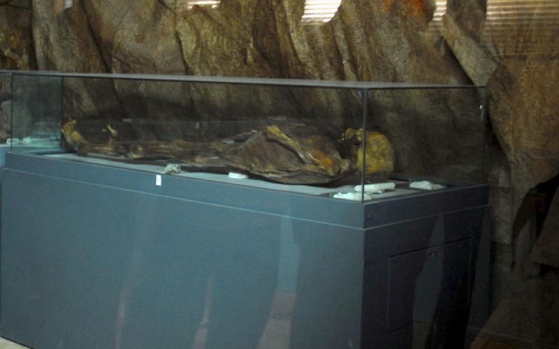 صور: مملكة زنوبيا في قبضة "داعش"