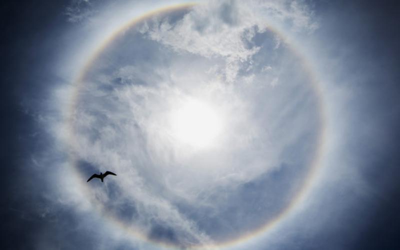 صور:عندما تظهر الشمس على غير حالها