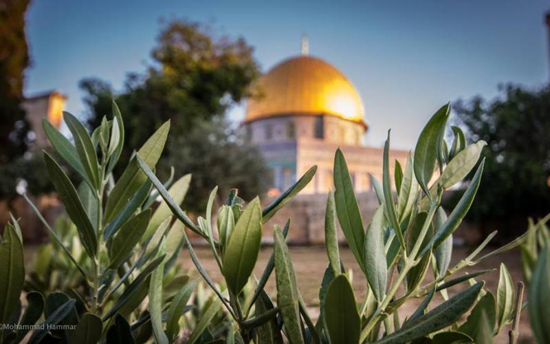 صور: يوم في المسجد الأقصى المبارك