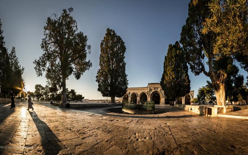 صور: يوم في المسجد الأقصى المبارك