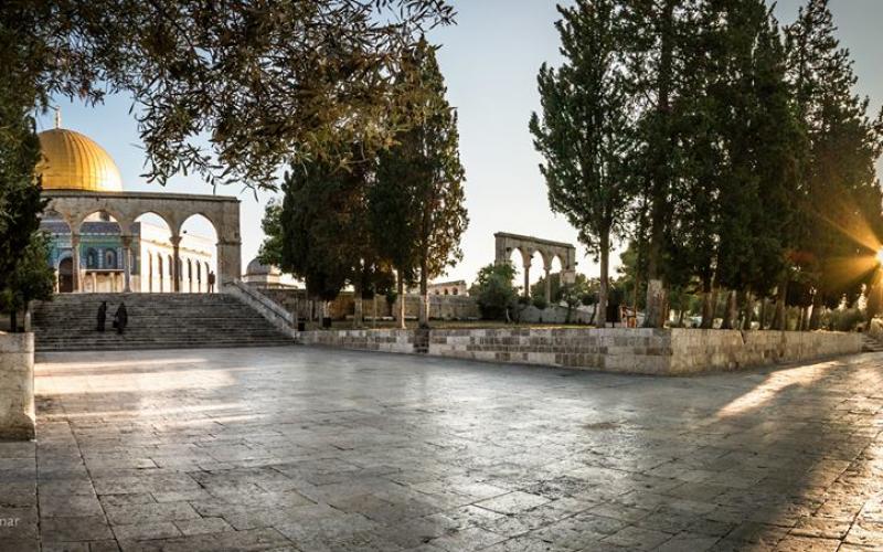 صور: يوم في المسجد الأقصى المبارك