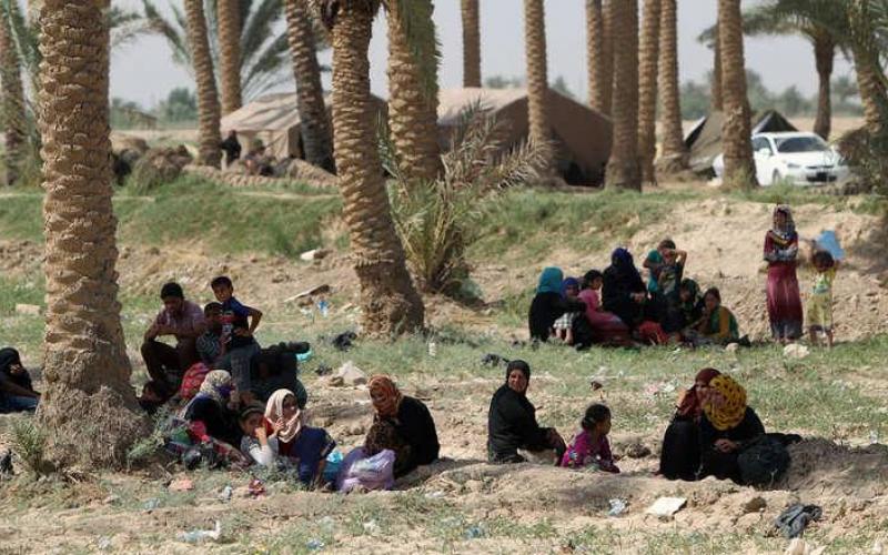 صور: المشردون من الأنبار العراقية