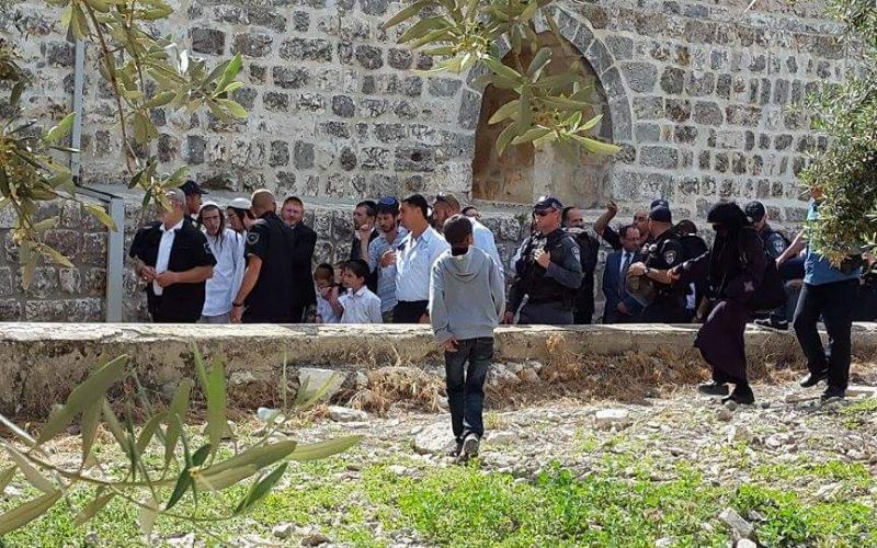 صور: اقتحام الأقصى صباح اليوم