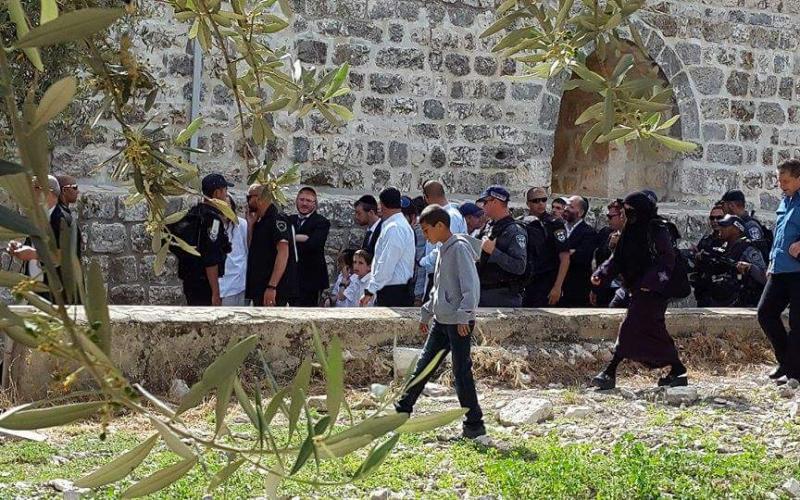 صور: اقتحام الأقصى صباح اليوم