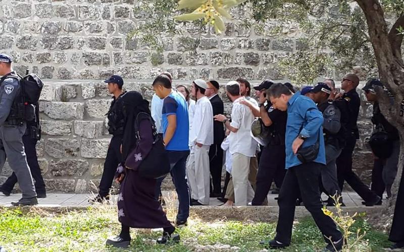 صور: اقتحام الأقصى صباح اليوم