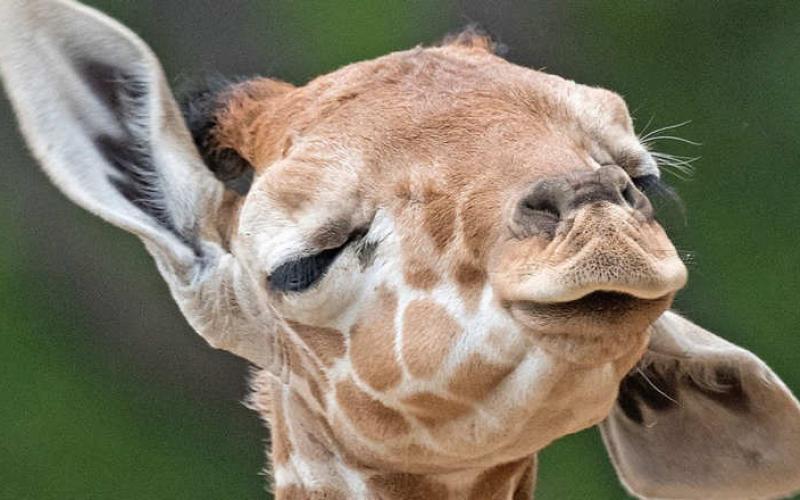 صور: أسبوع حول العالم