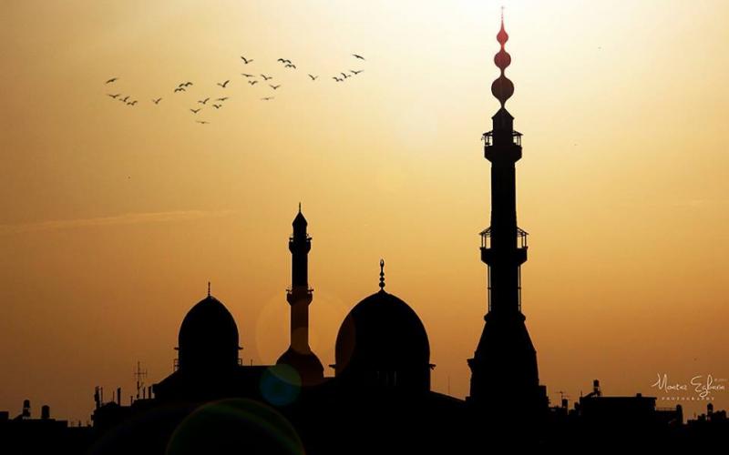 صور: مدينة أم الفحم الفلسطينية المحتلة