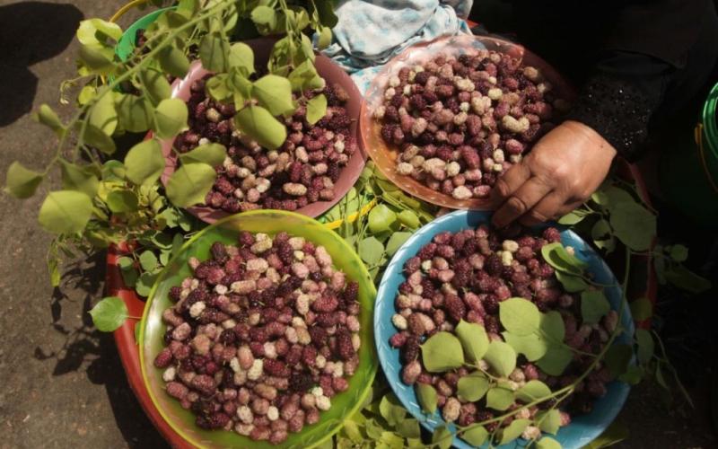 صور: سوق "الزاوية" وسط مدينة غزة