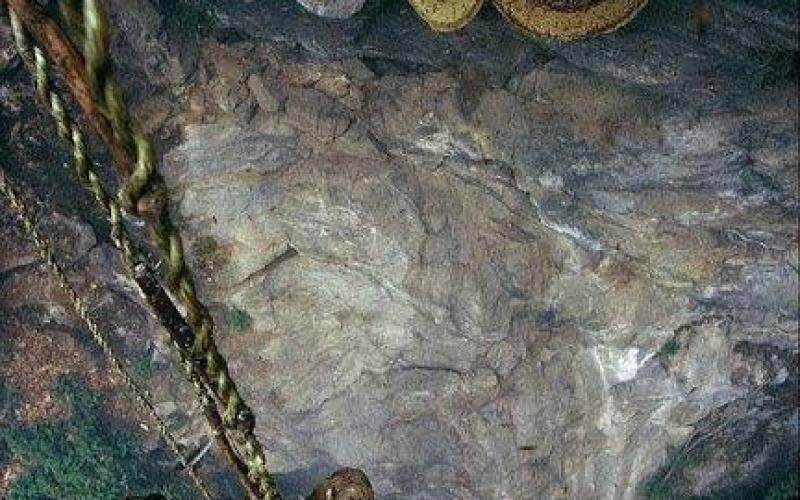 صور: جمع العسل في أبيس بنيبال