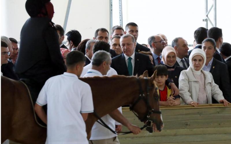 صور: أمير قطر يهدي أردوغان خيول عربية أصيلة