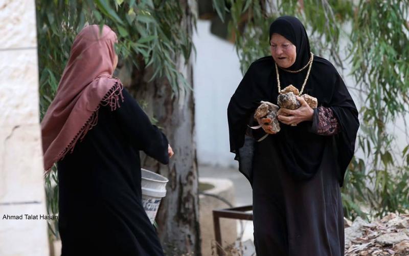 صور: مسنة تنقل الحجارة لشبان خلال المواجهات
