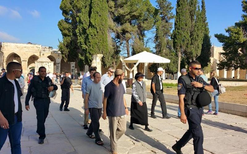 صور: اقتحام الاحتلال للمسجد الأقصى