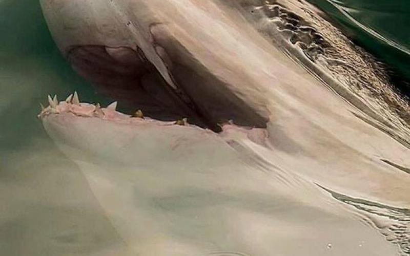 صور: مشاهد التقطت في اللحظة المناسبة