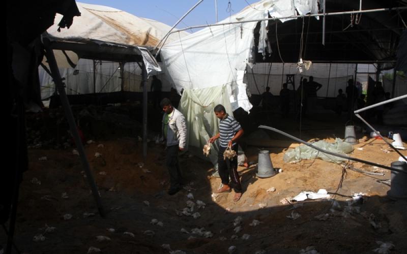 قوات الاحتلال تقصف مزرعة للدواجن بمنطقة دير البلح