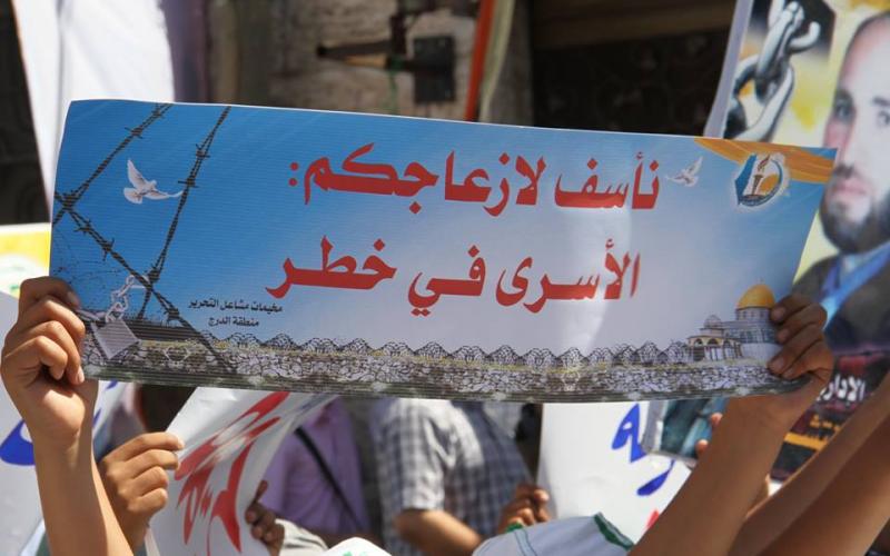 صور: انطلاق مخيمات مشاعل التحرير بغزة