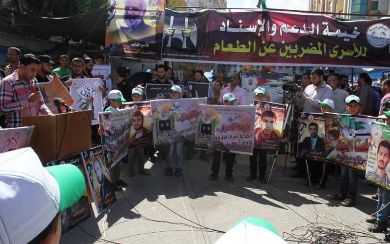 صور: انطلاق مخيمات مشاعل التحرير بغزة