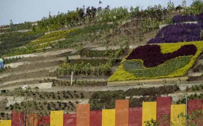صور: تحويل جبل نفايات لحديقة جميلة