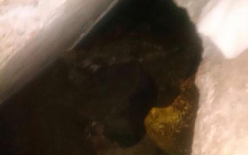 صور: الاحتلال يزعم اكتشاف نفق بشطة