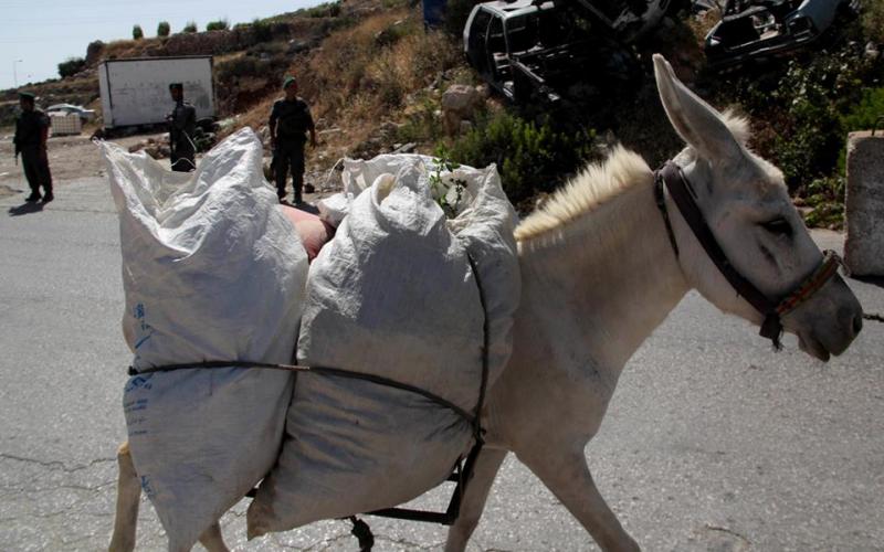 صور: جانب من استمرار عمليات التفتيش بالخليل