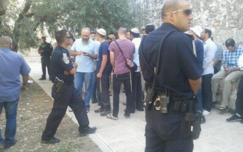 صور: المصلون يطردون مستوطنين من الأقصى‎