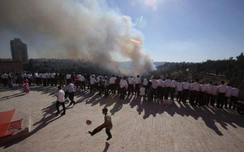 صور: حرائق كبيرة في أحراش القدس