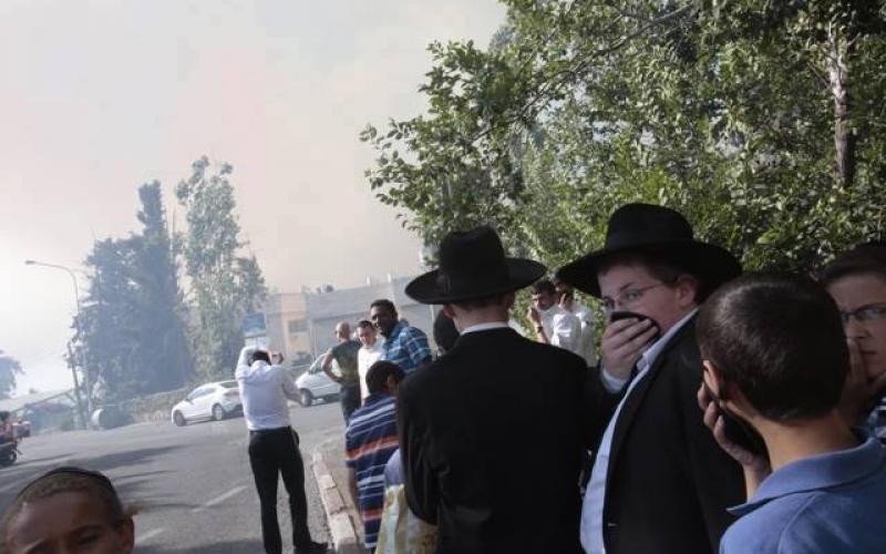 صور: حرائق كبيرة في أحراش القدس