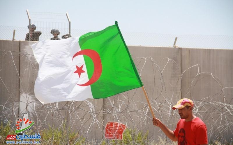 صور: إصابات بالاختناق في مسيرة بلعين