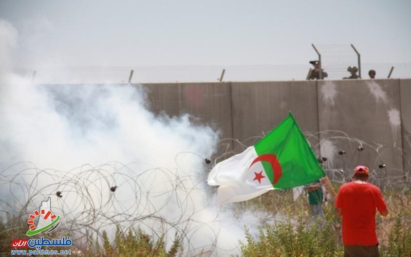صور: إصابات بالاختناق في مسيرة بلعين
