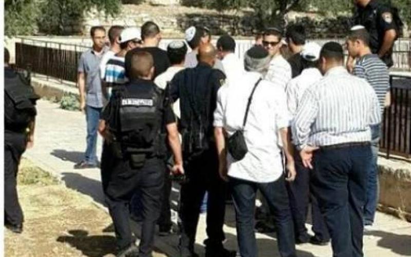 بالصور: مجموعات "من أجل الهيكل" تقتحم الأقصى