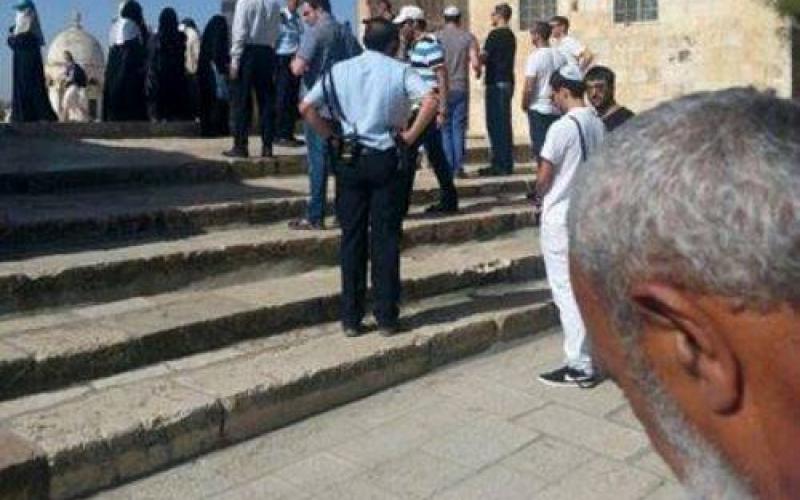 بالصور: مجموعات "من أجل الهيكل" تقتحم الأقصى