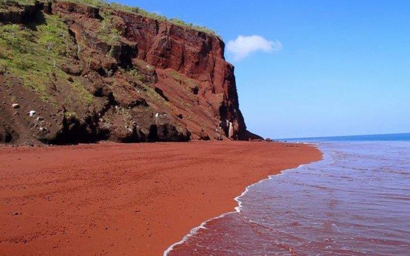 صور: أغرب الشواطئ في العالم