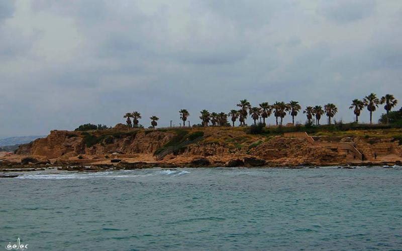 صور: "قيساريا" في شمال فلسطين المحتلة