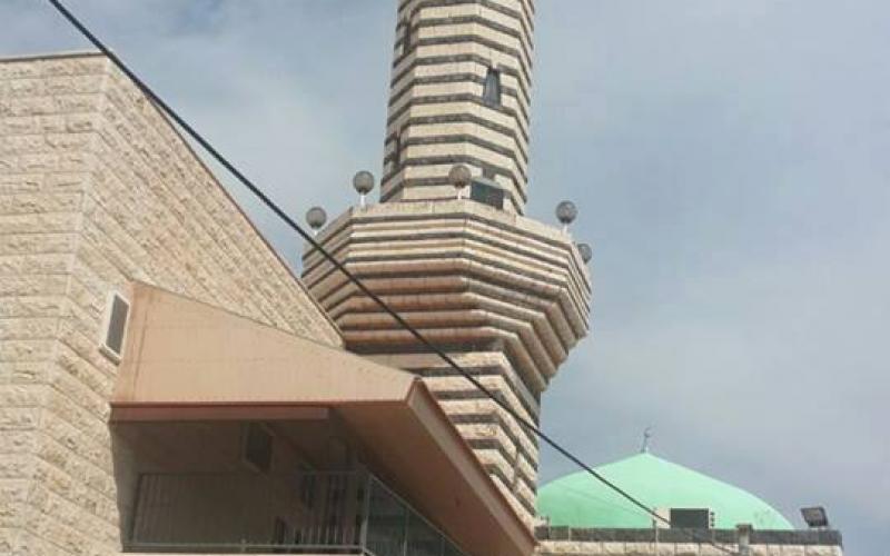 صور:  قرية المويلح قضاء يافا المحتلة