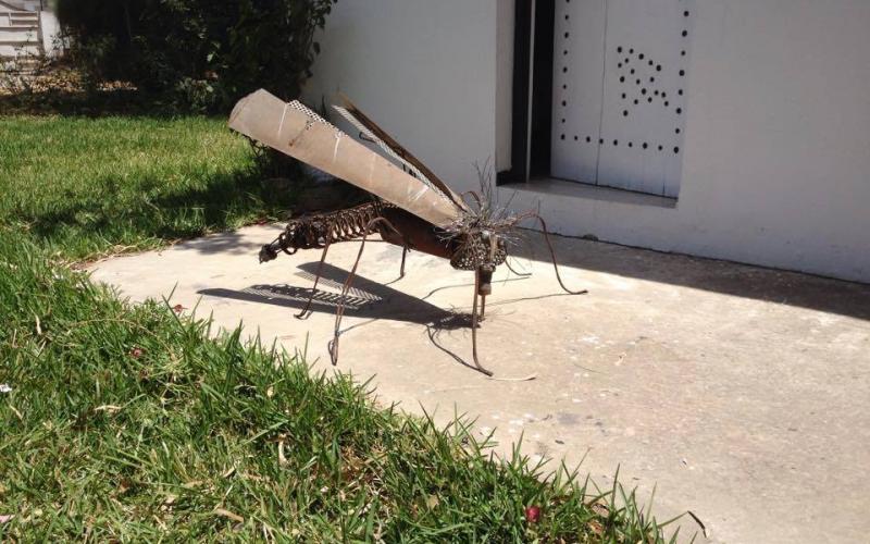 صور: فنان غزي يجسد البعوضة بحديد الخردة