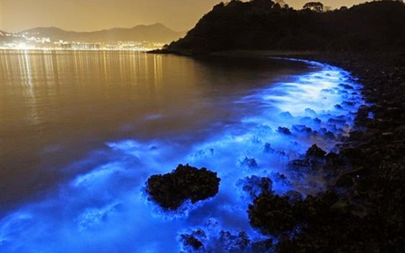 صور: شواطئ تتوهج في الظلام