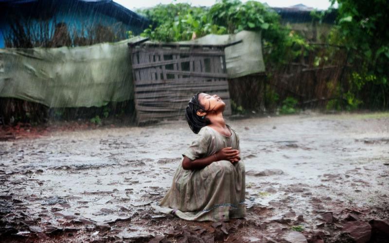 صور: نتائج  مسابقة "أندريه ستينين" للصور
