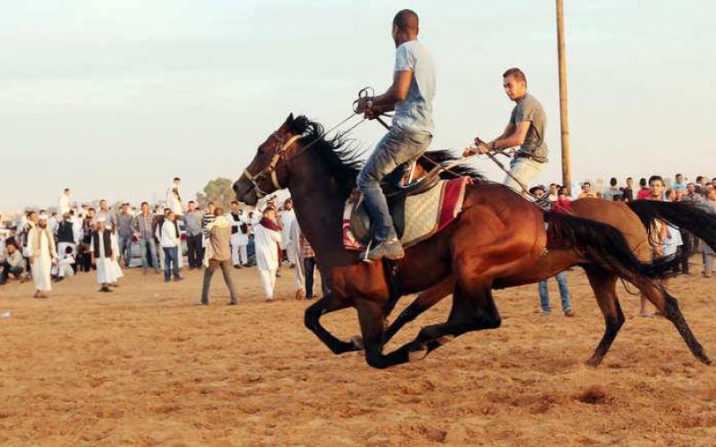صور: مهرجان الخيول السنوي في ليبيا