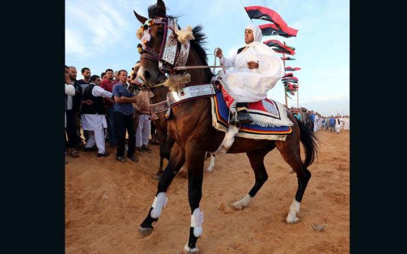 صور: مهرجان الخيول السنوي في ليبيا