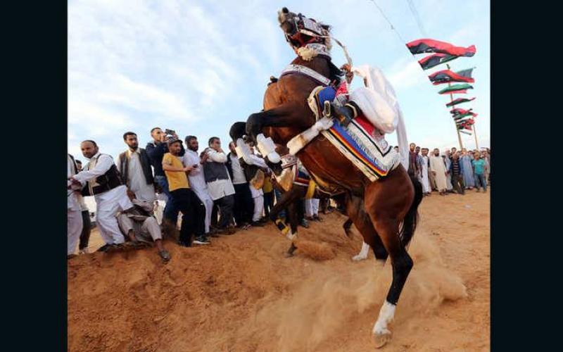 صور: مهرجان الخيول السنوي في ليبيا